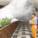 بيوتي كلين للمكافحة الحشرات