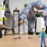 بيوتي كلين للمكافحة الحشرات